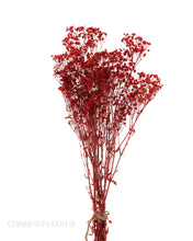 Red Baby's Breath Stems