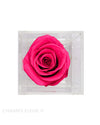 Preserved Single Rose | Comme-Le-Verre Une
