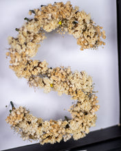 Lumiere Letter (Dried Flowers)