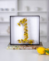 Lumiere Number (Dried Flowers)