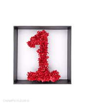 Lumiere Number (Preserved Flowers)