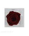 Preserved Single Rose | Comme-Le-Verre Une