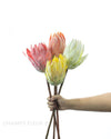 Artificial Protea (1 stem) - Champs Fleur