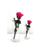 Dried flower Product Image upload - Customer's Product with price 5000.00 ID 6OE6X8Te9s2jjepw-pBPPtnC
