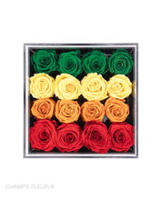 Ombre - Comme le Verre Seize (16 Rose Box)