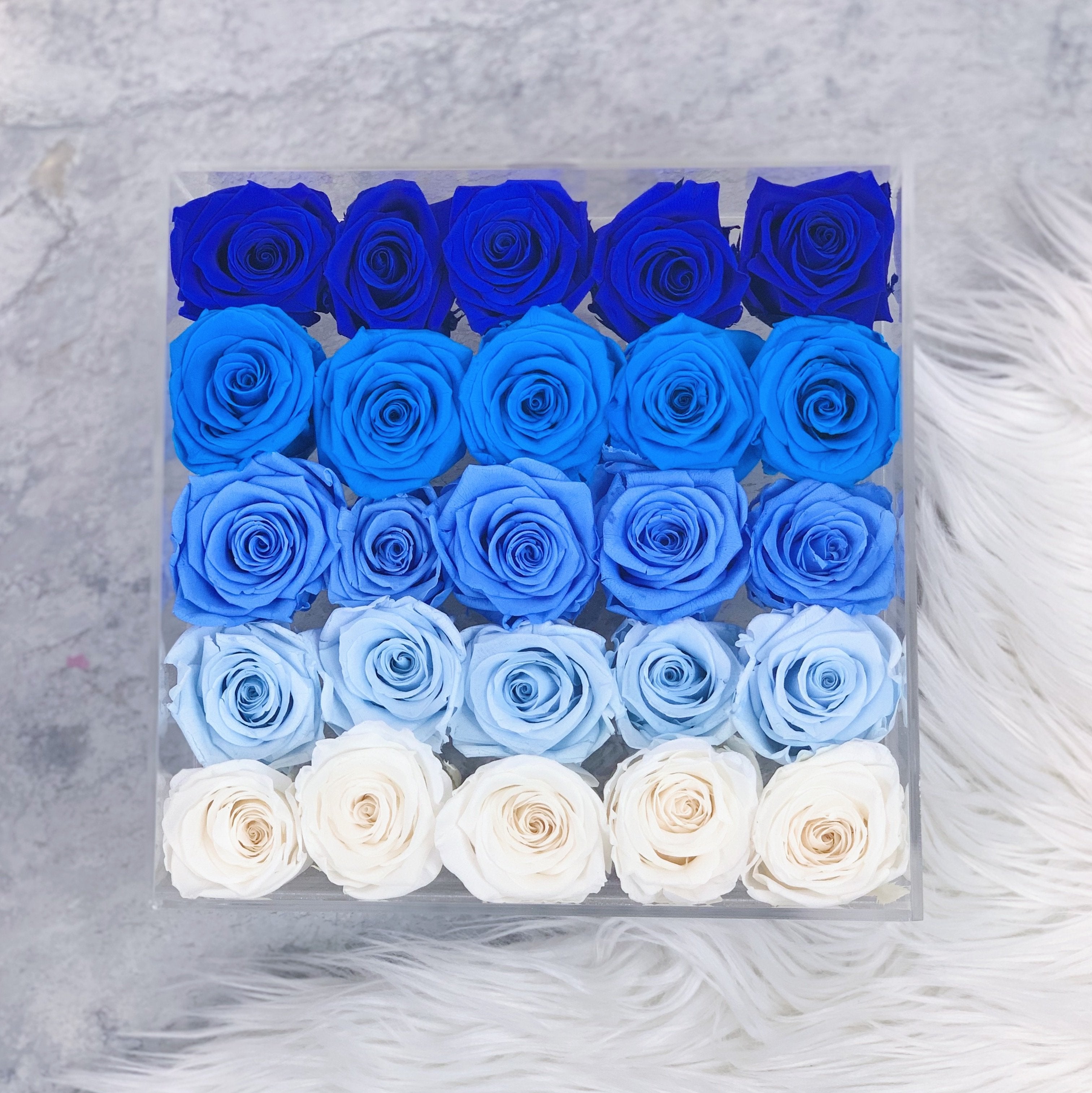 Comme le Verre - 25 Roses Blue Ombré