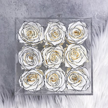 White Forever Roses in a Box - Gabrielle Roses