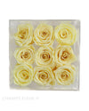 Preserved Roses in a Box - Comme Le Verre Neuf - Champs Fleur