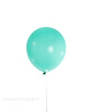 Matte Shimmer Latex Party Balloons (10) - Champs Fleur