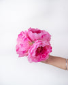 Peonies Buds - Silk Flowers (2 buds) - Champs Fleur