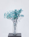 Preserved Baby's Breath - Champs Fleur