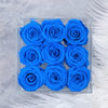 9 Azure blue infinity roses in an acrylic box.