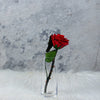 Single Long Stem Red Rose - Solitaire in Crimson Red - Champs Fleur