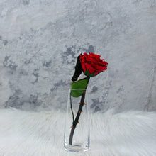 Single Long Stem Red Rose - Solitaire in Crimson Red