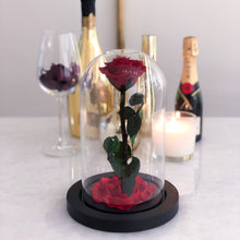 Single Stem Red Rose in a Glass Dome - Wondertale Moyen in Crimson Red