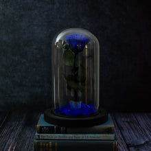 Wondertale (Rose in Glass Dome)